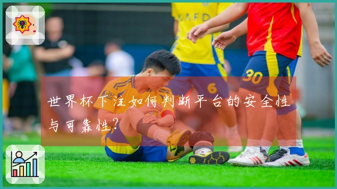 世界杯下注如何判断平台的安全性与可靠性？