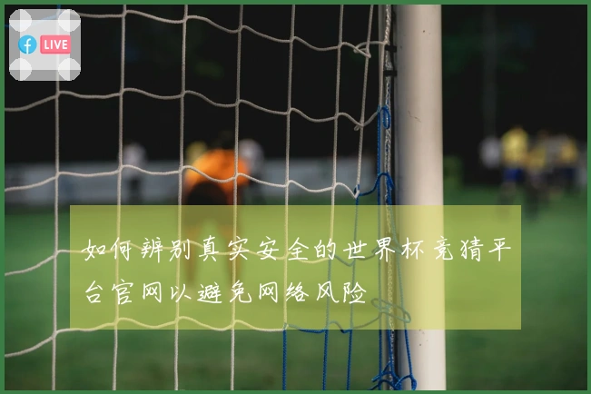 如何辨别真实安全的世界杯竞猜平台官网以避免网络风险