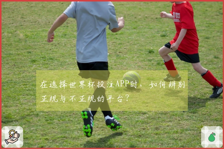 在选择世界杯投注APP时，如何辨别正规与不正规的平台？
