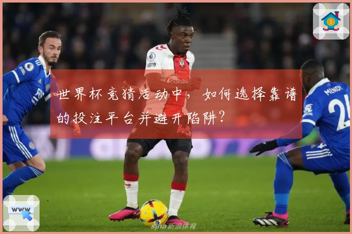 世界杯竞猜活动中，如何选择靠谱的投注平台并避开陷阱？