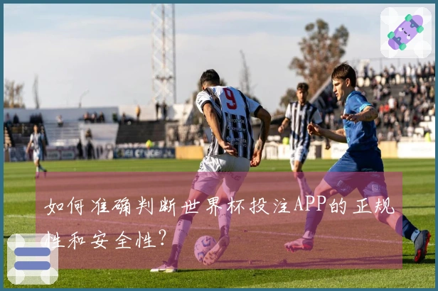 如何准确判断世界杯投注APP的正规性和安全性？