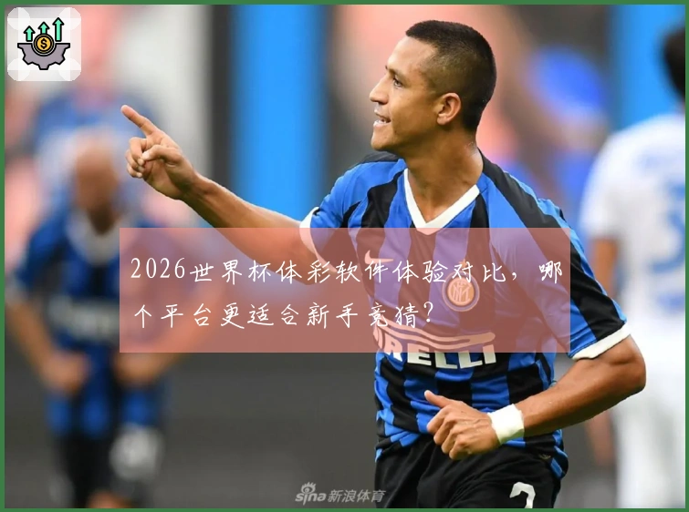 2026世界杯体彩软件体验对比，哪个平台更适合新手竞猜？
