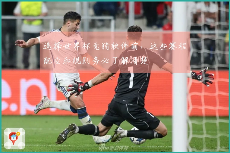 选择世界杯竞猜软件前，这些赛程配合和规则务必了解清楚
